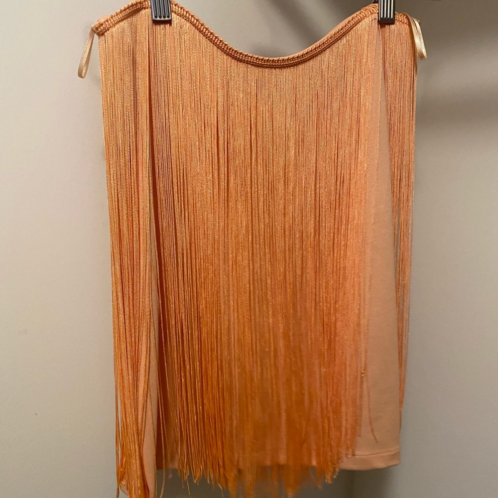 Zara fringe skirt